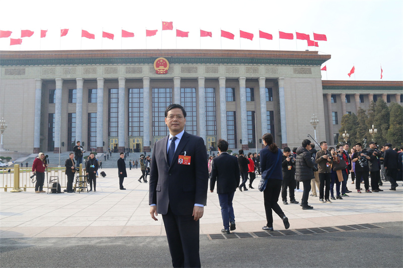 图片展示